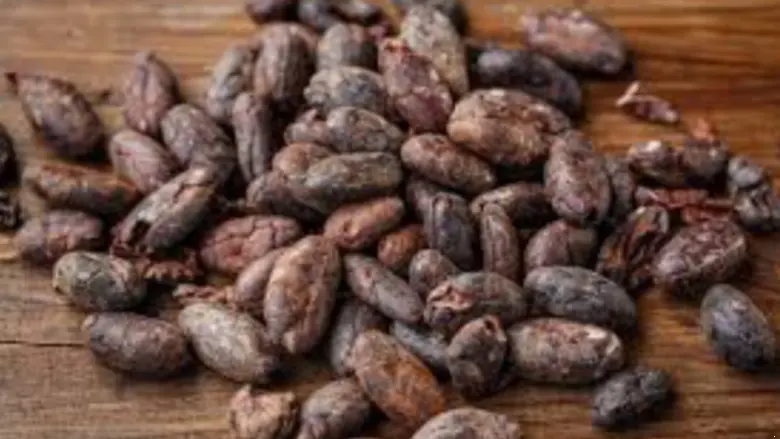 what is the difference between the price of cocoa seeds and the price of gold